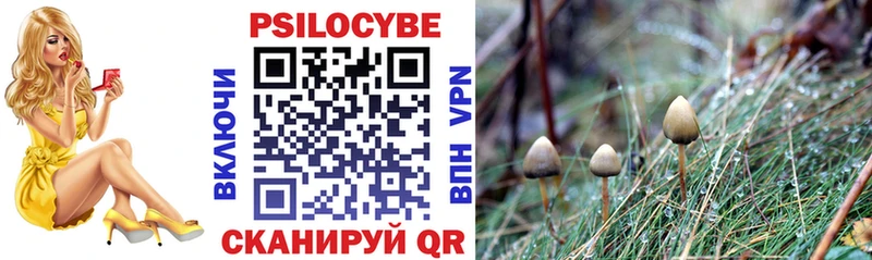 Псилоцибиновые грибы Psilocybine cubensis  Искитим 