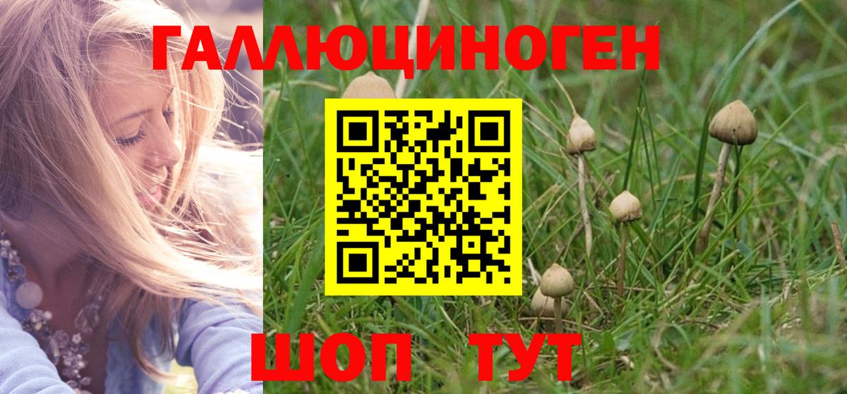Псилоцибиновые грибы мицелий  Вход с VPN  Искитим 